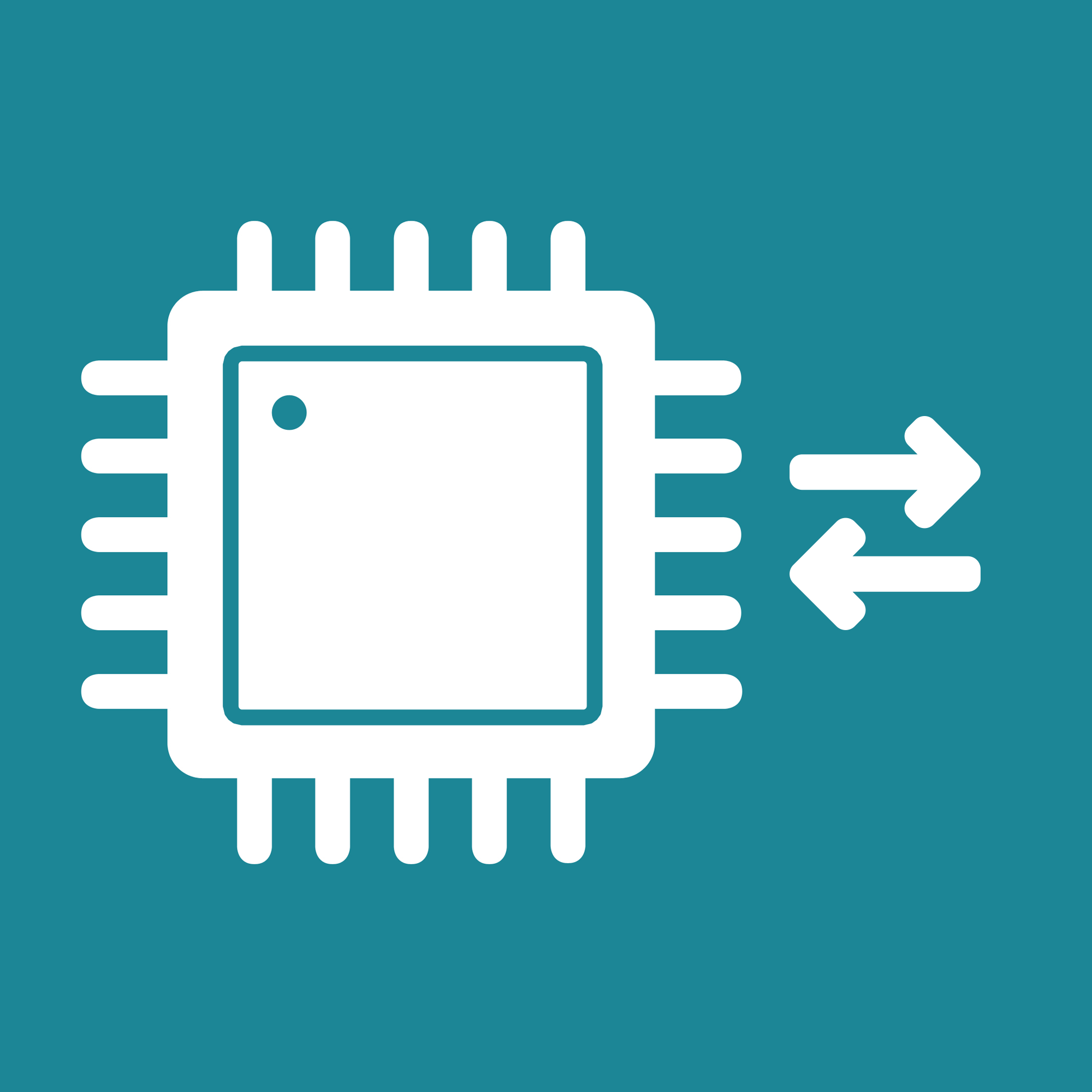 Raspberry Pi GPIO Access icon